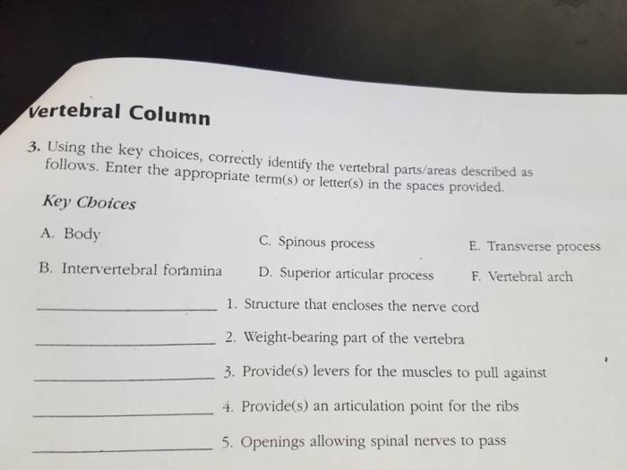 Using the key correctly identify the vertebral parts/areas described below